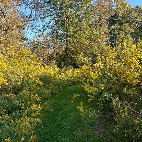 Meet your Posher, Sophie - Picture 1 of 1